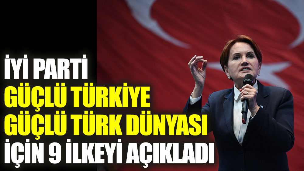 İYİ Parti güçlü Türkiye güçlü Türk dünyası için 9 ilkeyi açıkladı