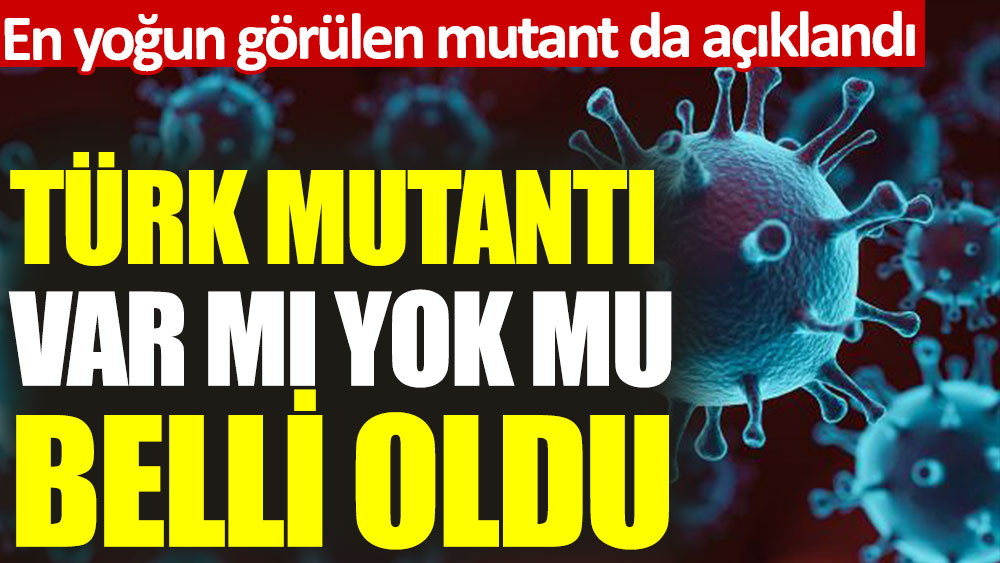 Türk mutantı var mı yok mu belli oldu. En yoğun görülen mutant da açıklandı
