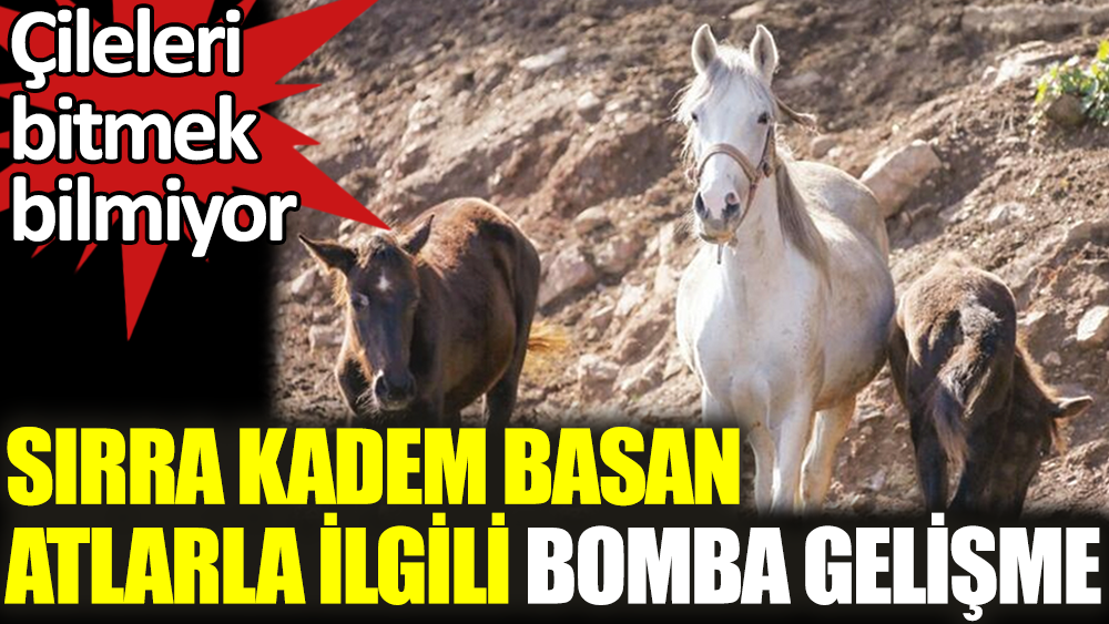 Sırra kadem basan atlarla ilgili bomba iddia. Çileleri bitmek bilmiyor