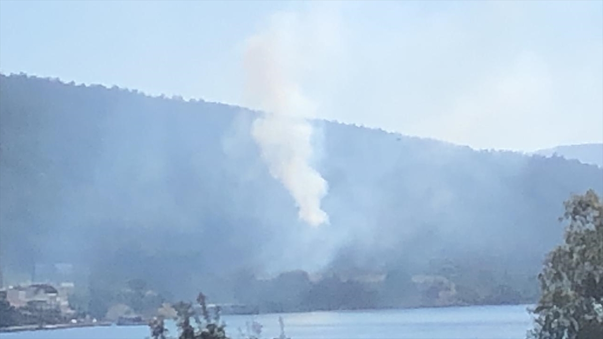 Bodrum'daki orman yangını kontrol altına alınabildi