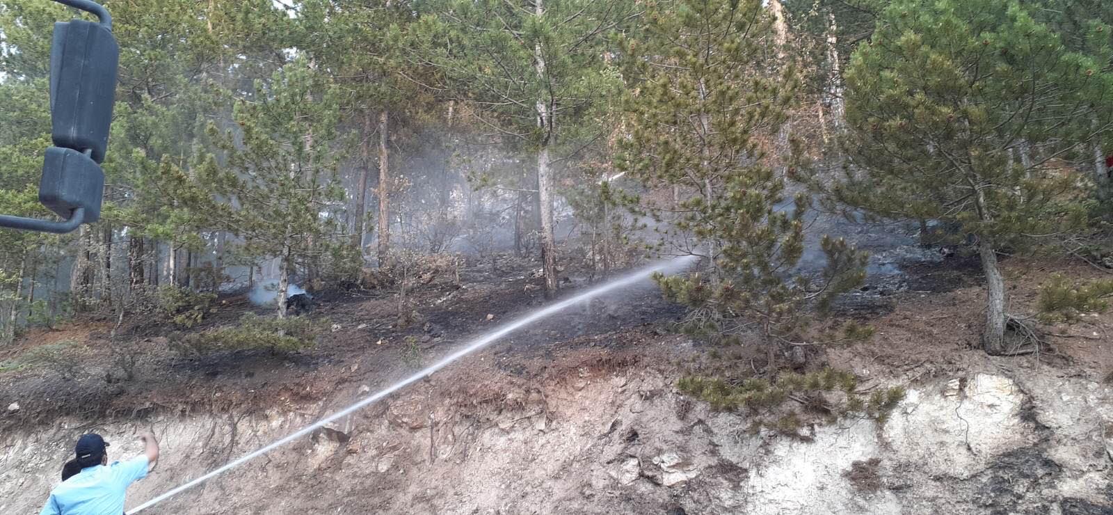 Eskişehir’de orman yangını. 2 dönüm alan zarar gördü