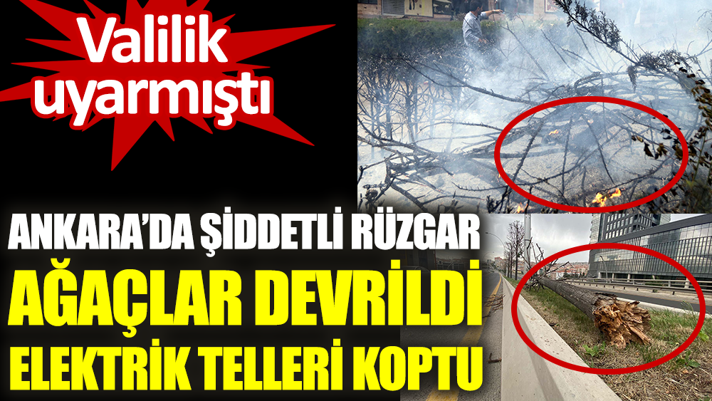 Ankara Valiliği uyarmıştı. Şiddetli rüzgar ağaçlar devrildi, elektrik telleri koptu 