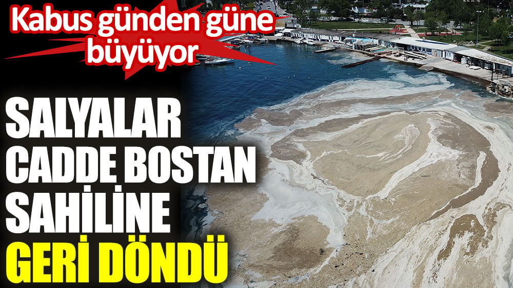 Salyalar Cadde Bostan sahiline geri döndü. Kabus günden güne büyüyor