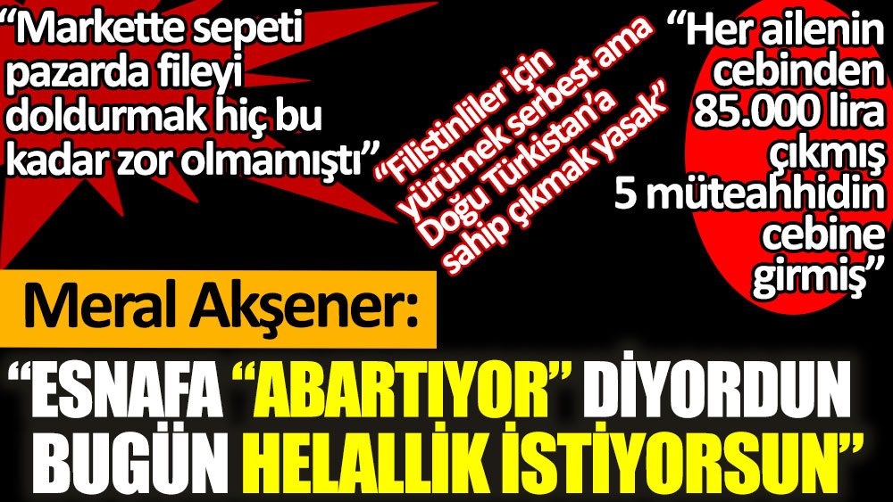 Meral Akşener’den Erdoğan’a: Hangi yüzle helallik istiyorsun kardeşim
