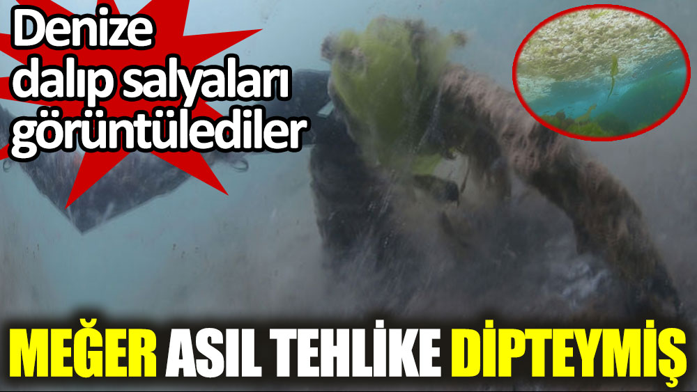Marmara Denizi'nde asıl tehlike dipteymiş! Derinlere dalıp salyaları görüntülediler