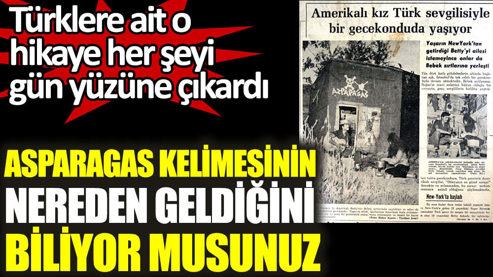 Asparagas kelimesinin nereden geldiğini biliyor musunuz. Türklere ait o hikaye her şeyi gün yüzüne çıkardı