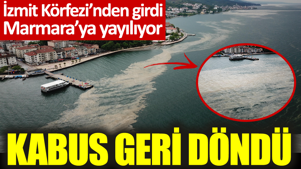 İzmit Körfezi'nden girdi Marmara'ya yayılıyor. Kabus geri döndü