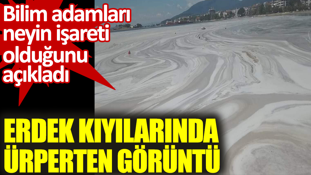 Erdek kıyılarında ürperten görüntü