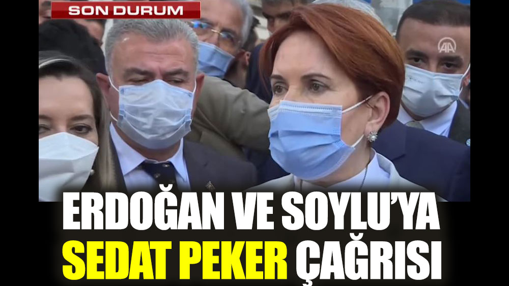 Meral Akşener’den Erdoğan ve Soylu’ya Sedat Peker çağrısı