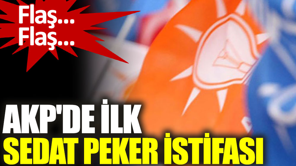 AKP'de ilk Sedat Peker istifası