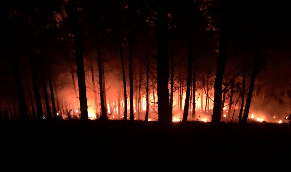 Orman yangınında 2 hektar alan zarar gördü