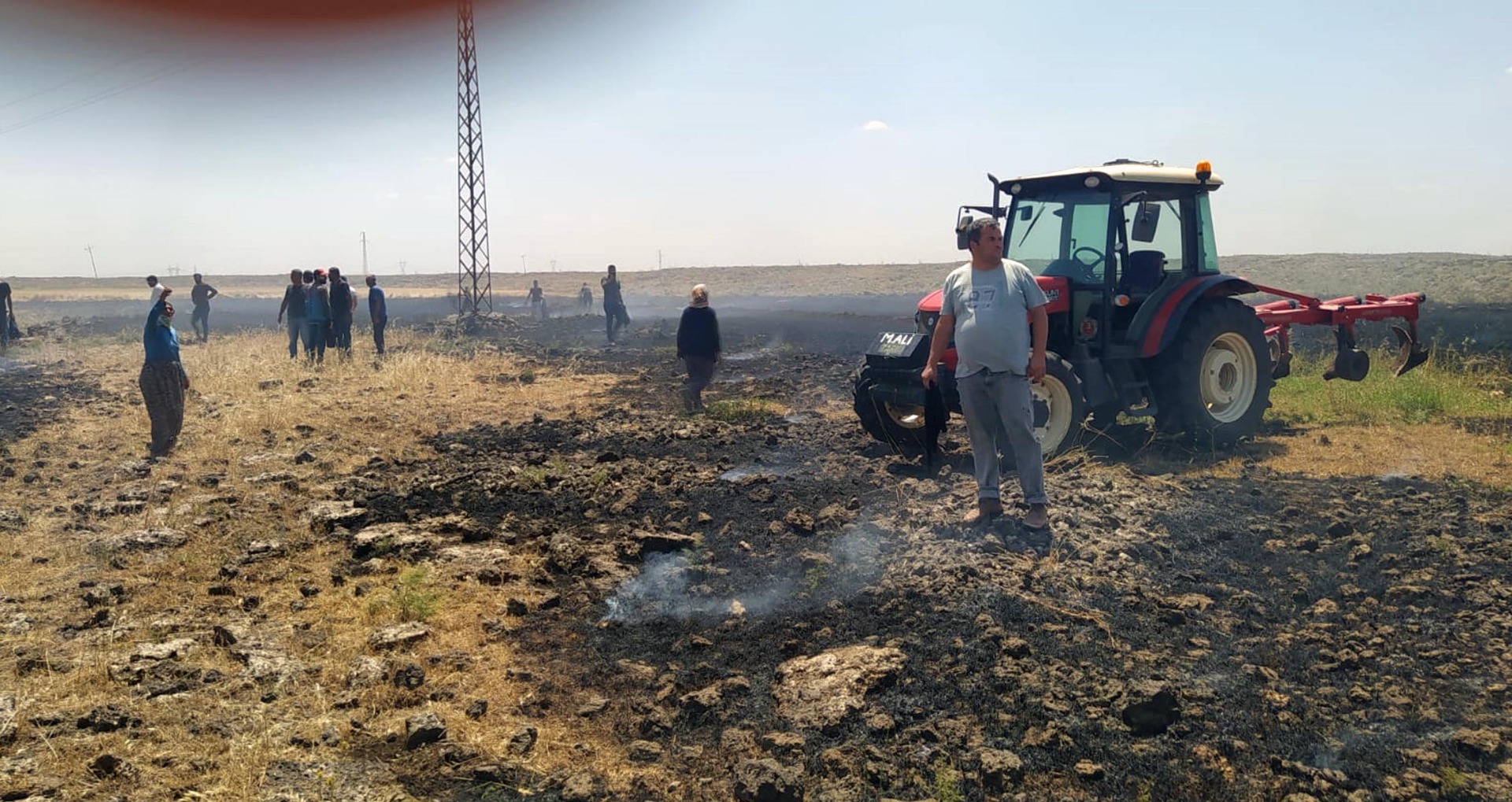 Mardin'de 50 dönüm alanda ekili buğday yandı