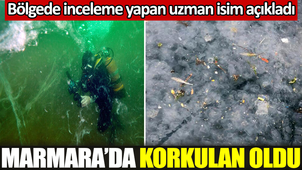 Marmara Denizi'nde korkulan oldu