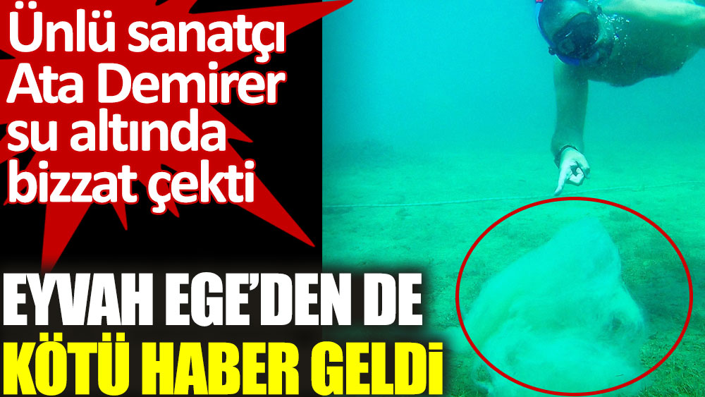Ata Demirer Ege Denizi'ndeki deniz salyasını su altında fotoğrafladı