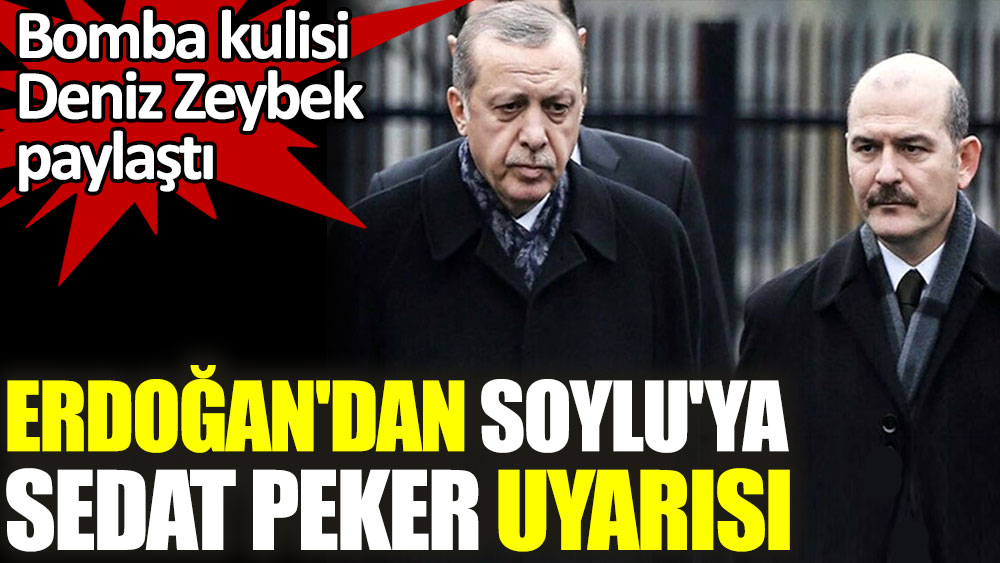 Erdoğan'dan Soylu'ya Sedat Peker uyarısı