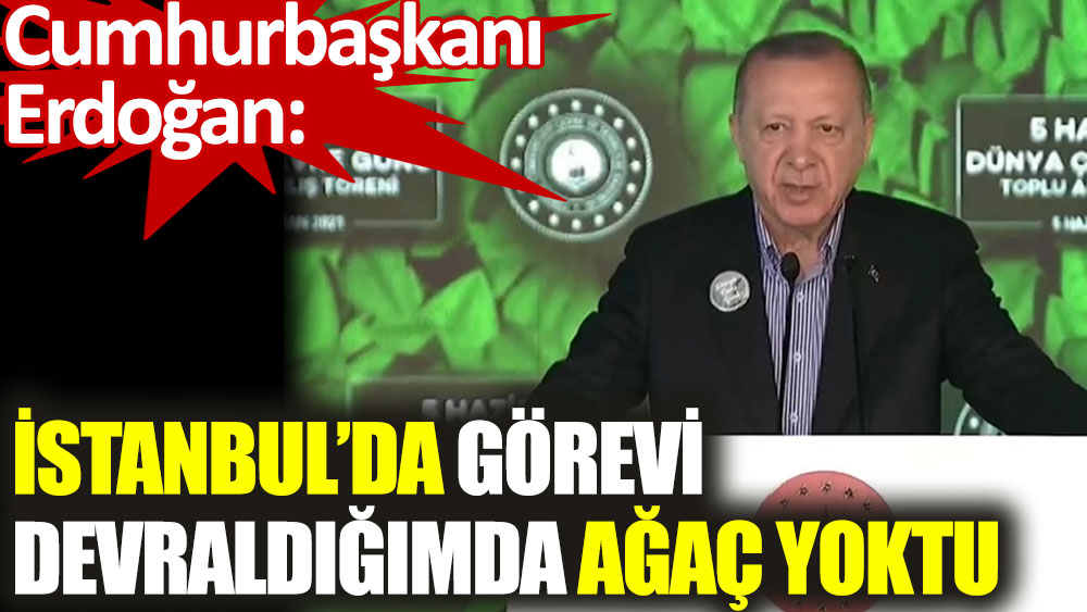 Cumhurbaşkanı Erdoğan: İstanbul'da görevi devraldığımda ağaç yoktu