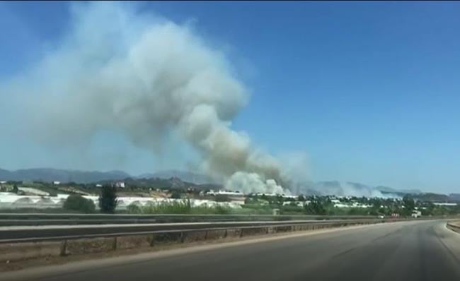 Antalya’nın Serik ilçesinde orman yangını