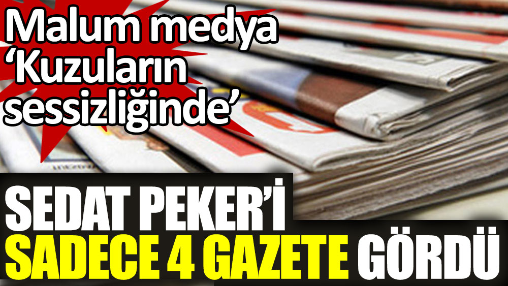 Sedat Peker'i sadece 4 gazete gördü