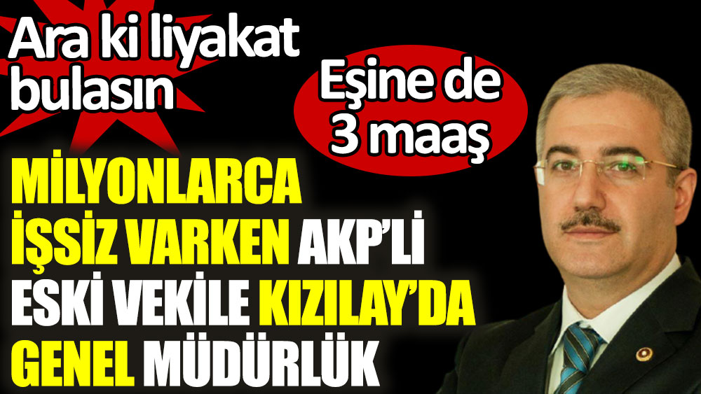Milyonlarca işsiz varken AKP'li eski vekile Kızılay'da genel müdürlük