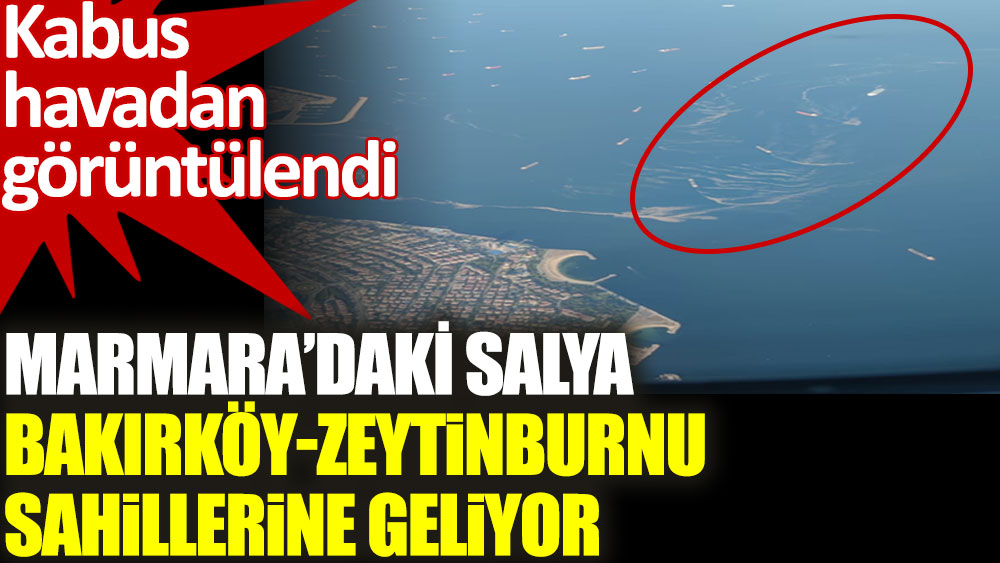 Marmara’daki deniz salyası Bakırköy Zeytinburnu sahillerine geliyor