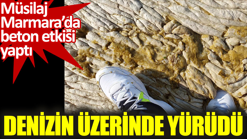 Müsilaj Marmara’da beton etkisi yaptı