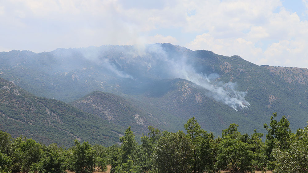 5 gün süren orman yangınında 30 hektar kül oldu