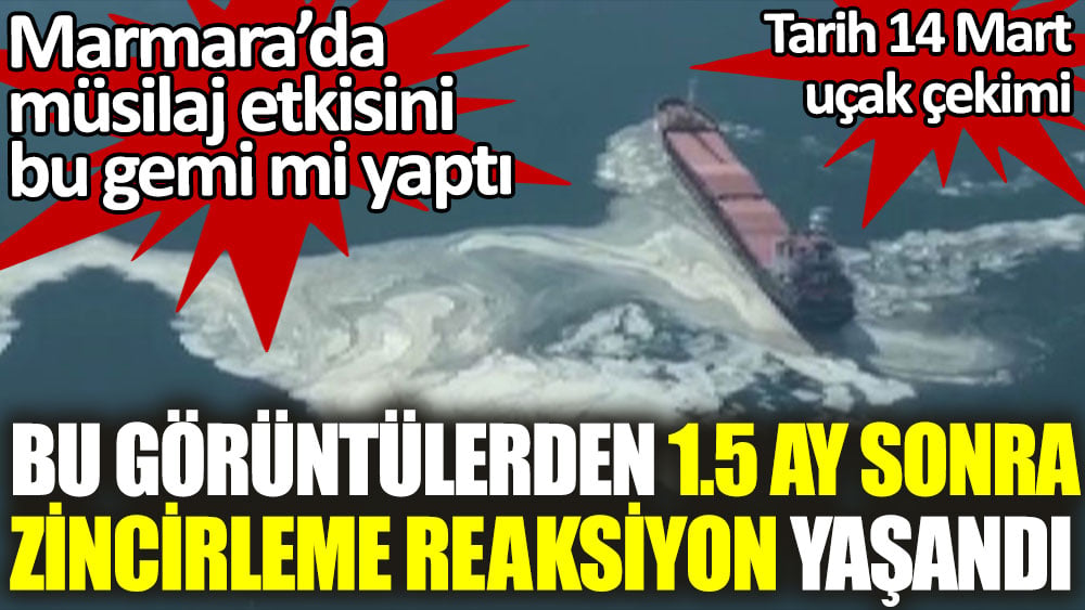 Bu görüntülerden 1.5 ay sonra zincirleme reaksiyon yaşandı