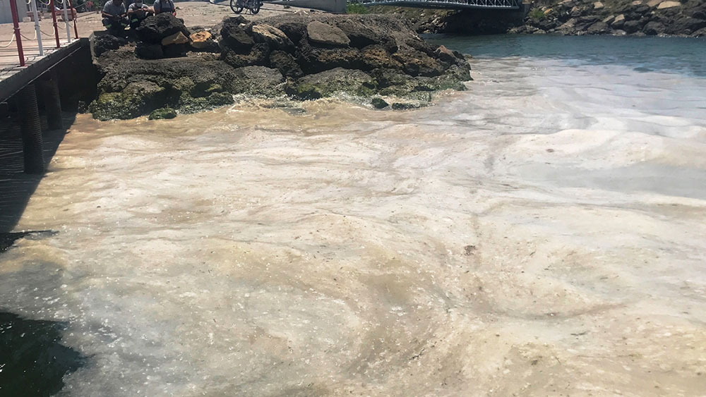 Çanakkale'de deniz salyası felaketi devam ediyor