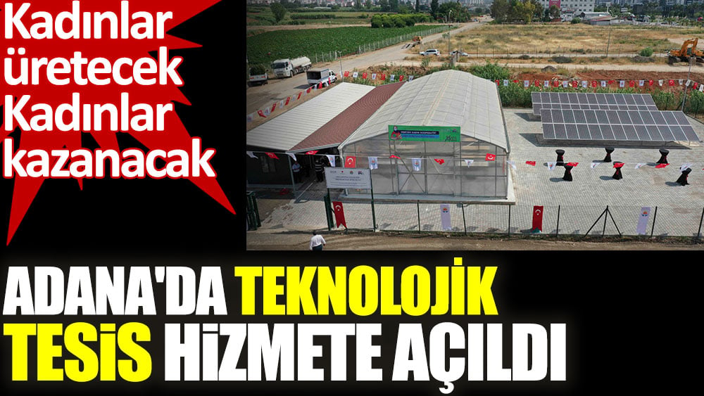 Adana'da güneş enerjisi ile çalışan mevye sebze kurutma tesisi hizmete açıldı