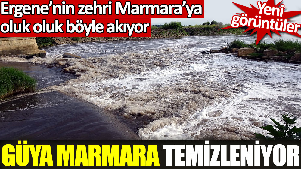 Güya Marmara temizleniyor. Ergene’nin zehri Marmara’ya oluk oluk böyle akıyor