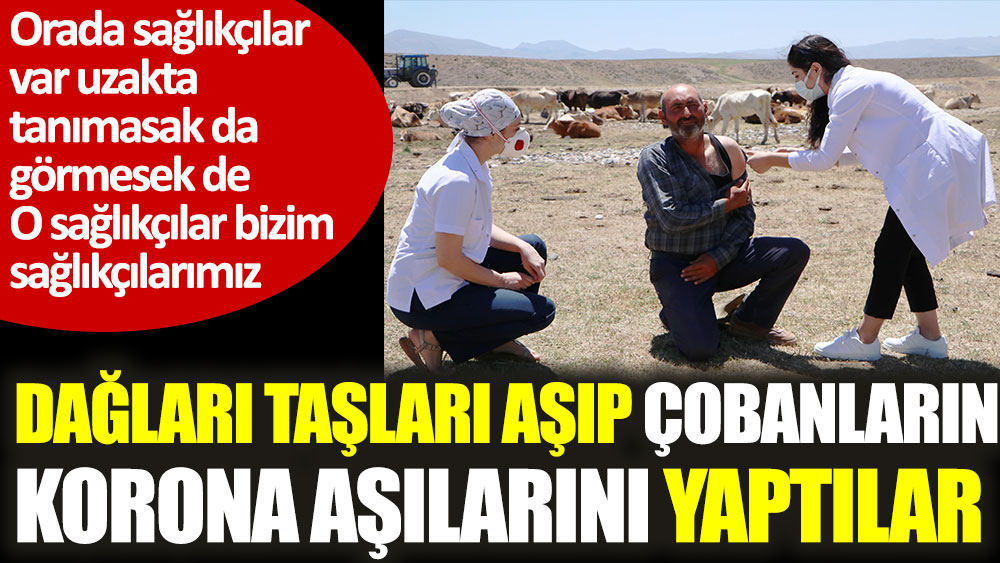 Erzurum'da çobanlara yaylada korona aşısı yapıldı