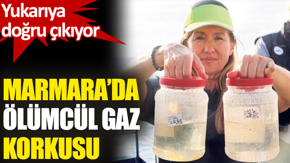 Marmara Denizi'nde hidrojen sülfürün, 34 metre derinliğe kadar çıktığı görüldü