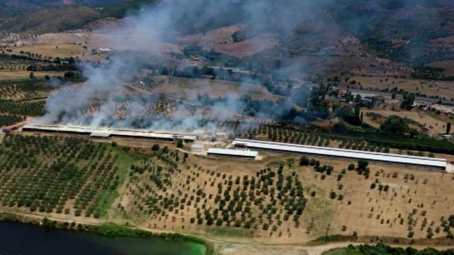 İzmir'de saman deposunda yangın