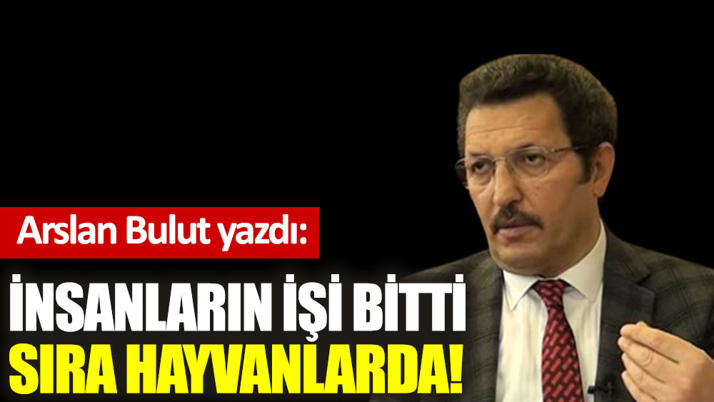 İnsanların işi bitti, sıra hayvanlarda!