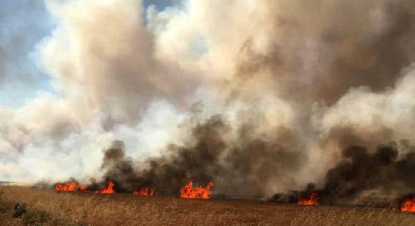 Nurdağı'nda 35 dönüm ekili buğday yandı