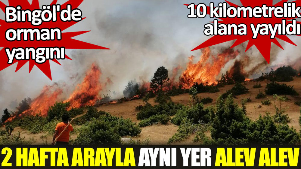 Bingöl'de orman yangını: 2 hafta arayla aynı yer alev alev