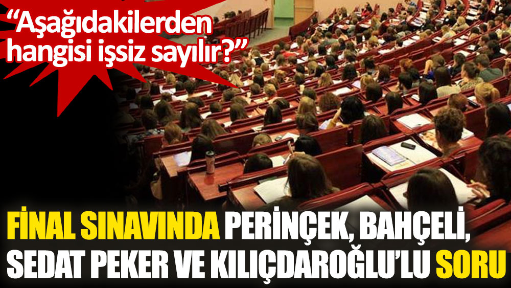 Final sınavında Perinçek, Bahçeli, Sedat Peker ve Kılıçdaroğlu için "işsiz" benzetmesi