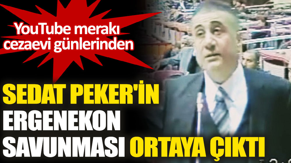 Sedat Peker'in Ergenekon davasında yaptığı savunma ortaya çıktı