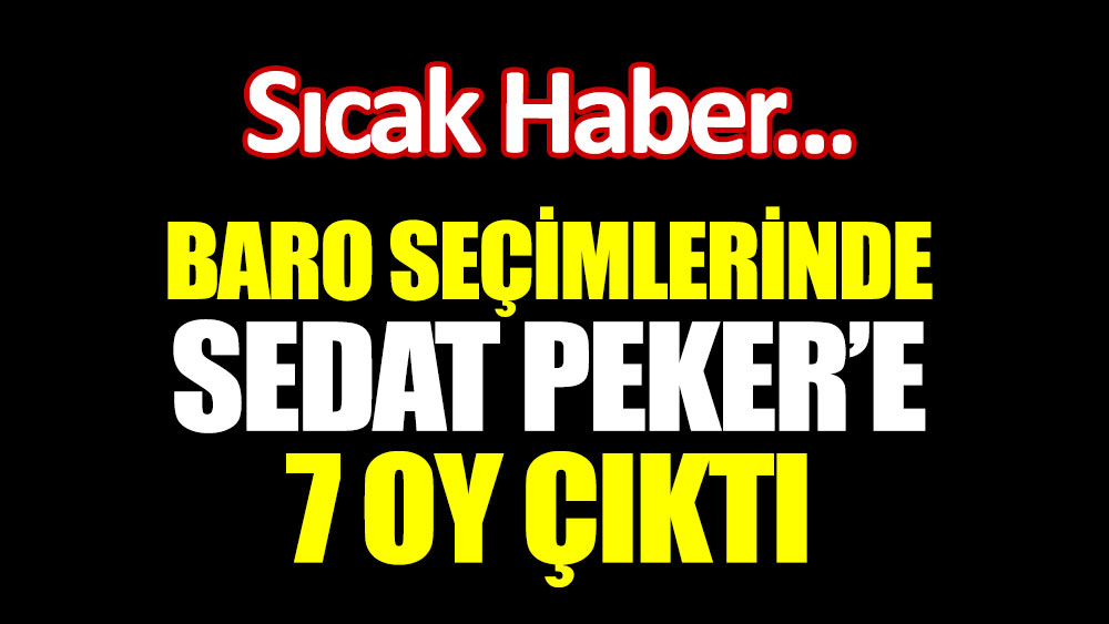 Baro seçimlerinde Sedat Peker’e 7 oy çıktı