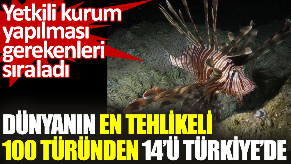 Dünyanın en tehlikeli 100 türünden 14'ü Türkiye'de