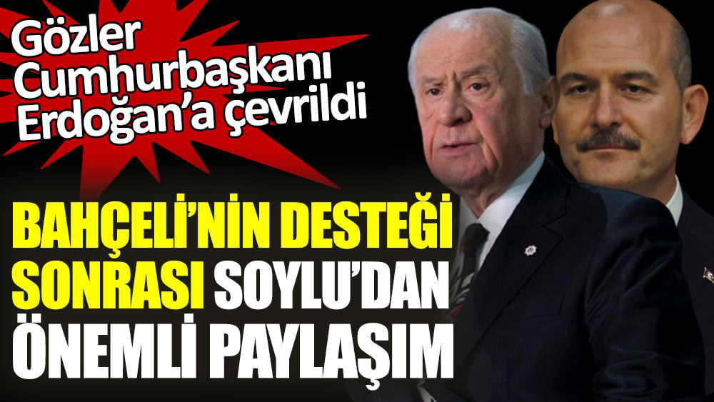 Bahçeli’nin desteği sonrası Soylu’dan önemli paylaşım