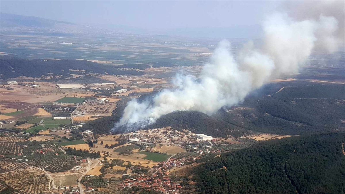  İzmir'de orman yangını