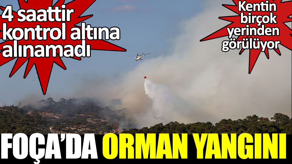 İzmir Foça'daki yangına müdahale devam ediyor