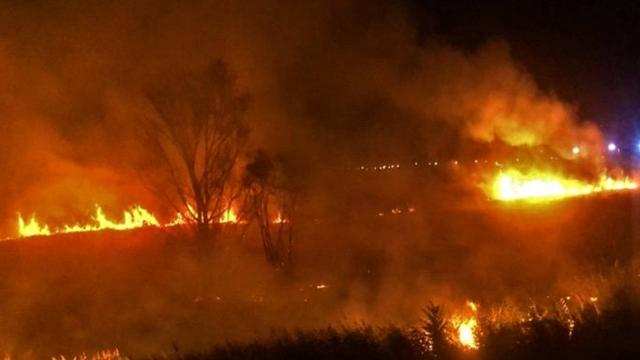 Burdur'da sazlık yangını