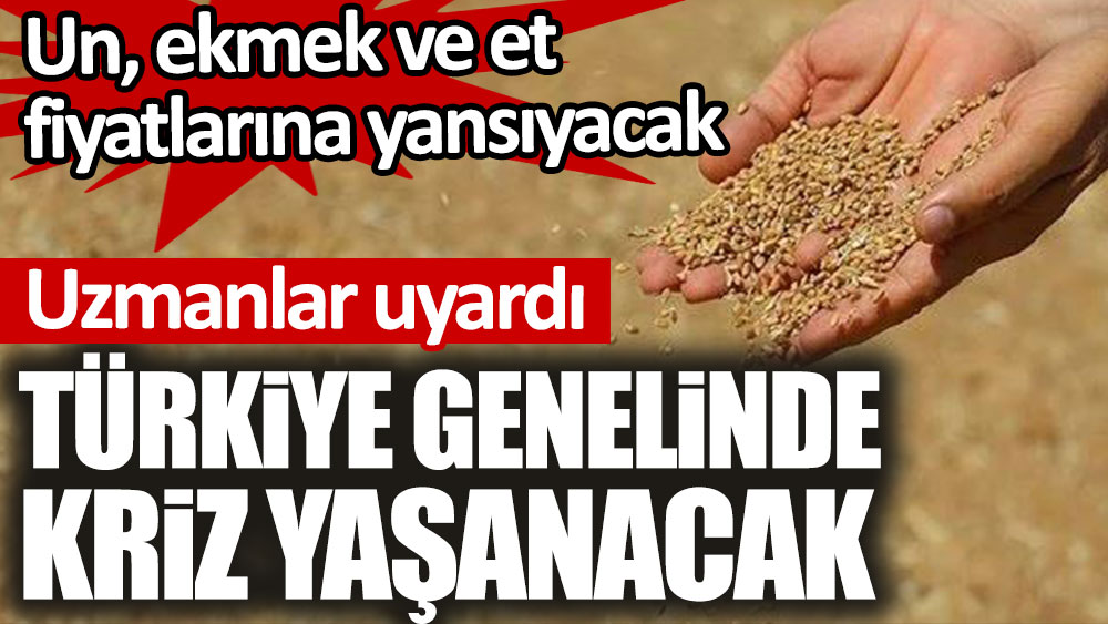 Türkiye genelinde kriz yaşanacak. Un, ekmek ve et fiyatlarına yansıyacak