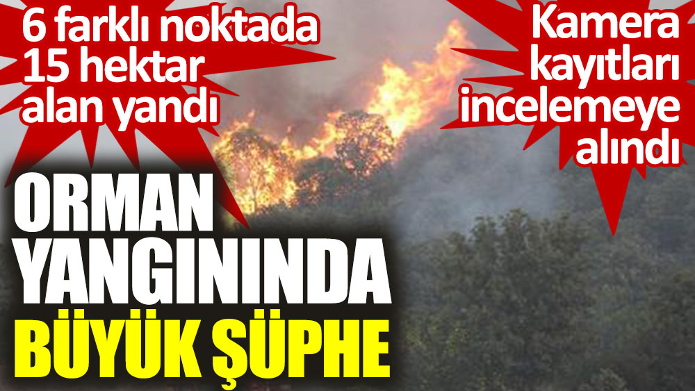 Manisa'daki orman yangınında büyük şüphe