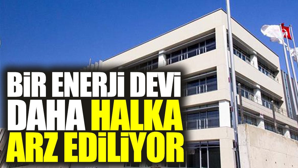 Bir enerji devi daha halka arz ediliyor