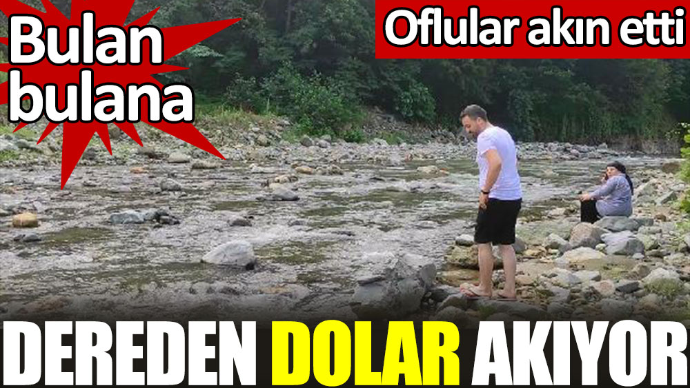 Trabzon'daki dereden dolar akıyor