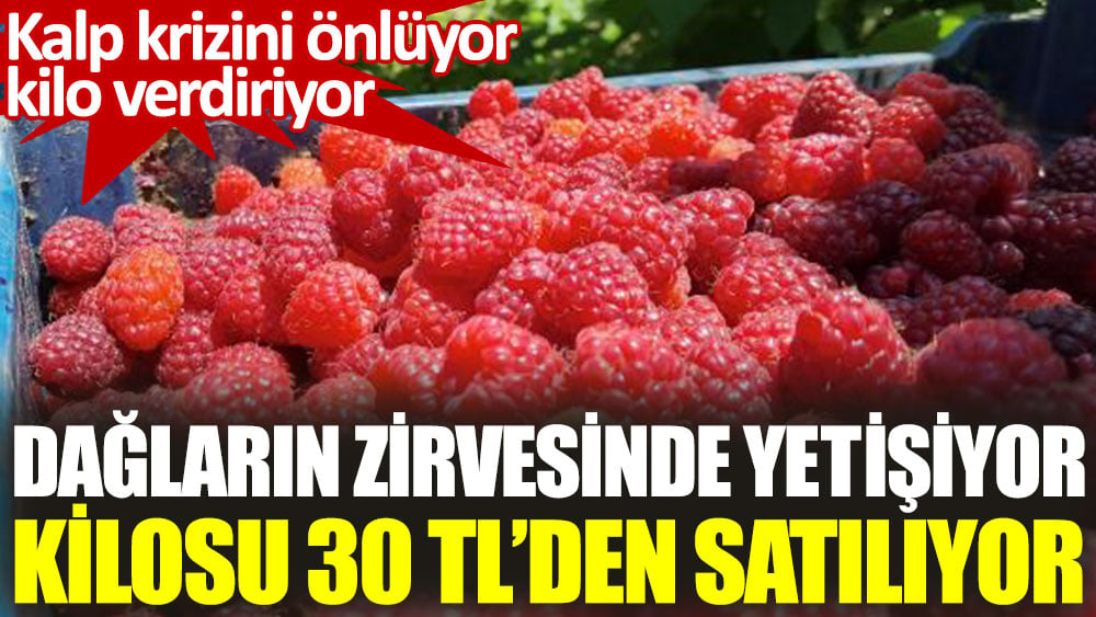 Dağların zirvesinde yetişiyor kilosu 30 TL'den satılıyor