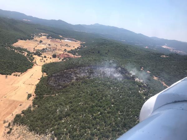 Kaş'ta orman yangınında. 3 hektar alan zarar gördü